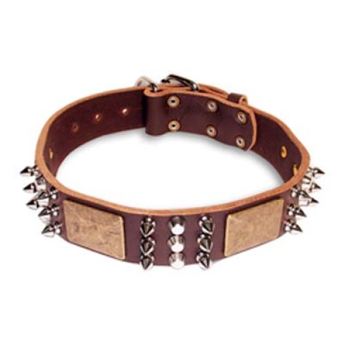 Dog Collars